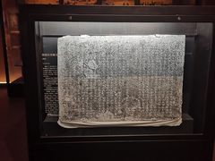 -温州博物馆