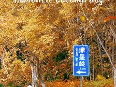 -广州市白云山风景名胜区