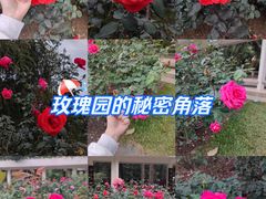 -人民公园(罗湖区)