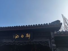 -上海醉白池公园