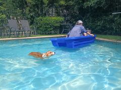 -汪说喵讲宠物乐园宠物酒店(红星美凯龙店)