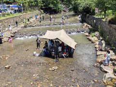 -北仑森林植物园