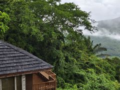 -三亚亚龙湾人间天堂鸟巢度假村