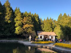 -庐山风景区花径公园