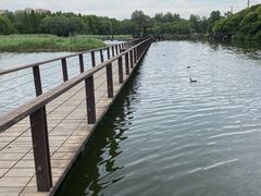 -前关湿地公园