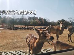 -常州淹城野生动物世界