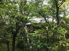 -常寂光寺