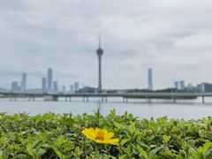 -永利澳门酒店