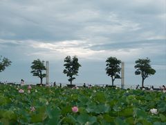 -滆湖低碳生态公园