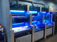 水产区-老虎滩大连海鲜烧烤(建邺云锦路总店)