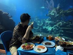-海棠湾洲际-涛·海底餐厅·美人鱼·自助餐·海底隧道