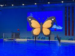 -石家庄市动物园