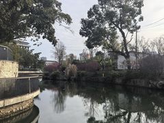 -陈麻婆豆腐(旗舰店)