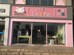 -70cat德文卷毛猫·缅因猫纯种猫舍