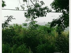 -许家山