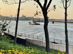 -南汇嘴观海公园