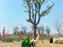 -九龙湖公园