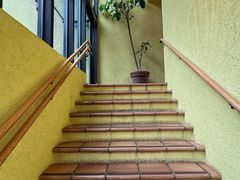 -三鹰之森吉卜力美术馆