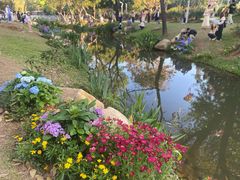 -人民公园(罗湖区)