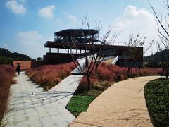 -下渚湖国家湿地公园科普馆