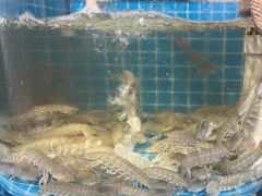 -正亮农家院·海鲜本地菜