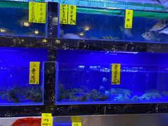 -怡乐食府(总店)