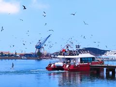 -海驴岛(荣成市)