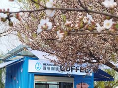 门面-Beans Solo豆号咖啡(百家湖花园店)