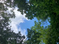 -虞山城墙
