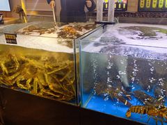 -蟹之国·精品蟹料理(极地店)