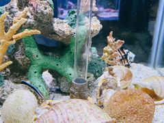 -太平洋海底世界