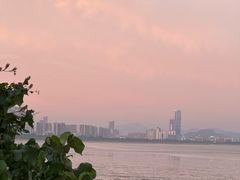 -深圳湾公园(南山区)