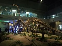 -自贡恐龙博物馆