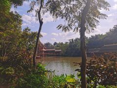 -曼听御花园