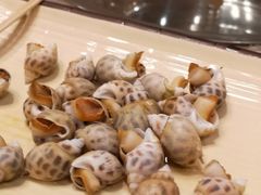 -崖口红树林海鲜餐厅