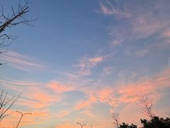 -上海滨江森林公园