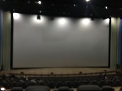 -天幕新彩云国际影城(激光巨幕店)