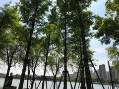 -南翔镇银翔湖公园