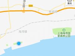 -棕榈滩海景高尔夫俱乐部