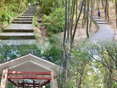 -火炉山森林公园