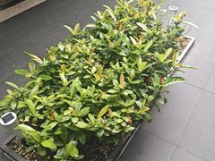 -阿伟海鲜楼·福建菜(涵江店)