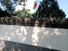 -西塔