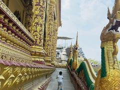 -西双版纳勐泐文化旅游区