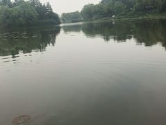 -新江湾城公园