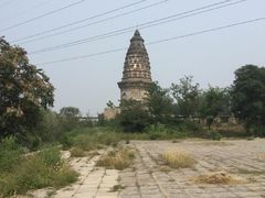 -云岗森林公园