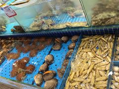 -鲜得莱渔港·小平岛海胆馆(七贤岭店)