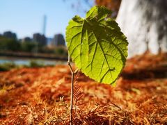 -白塘生态植物园