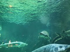 -华夏文旅海洋公园