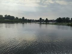 -白洋淀景区