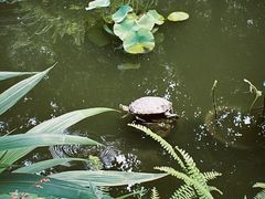 -大妙火锅·非物质文化遗产(东湖公园店)